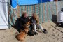 Thumbs/tn_Kite Board Open 2016 zondag 239.jpg
